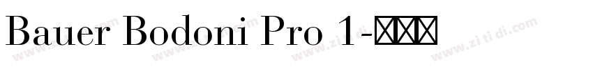 Bauer Bodoni Pro 1字体转换